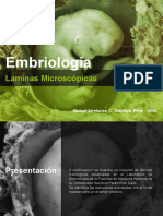 Laminas de Embriología