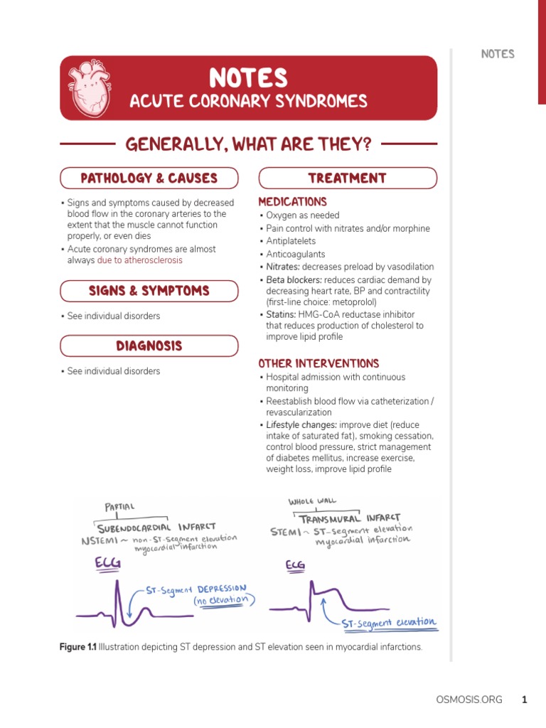 Acute Coronary Syndrome Overview | PDF | Myocardial Infarction ...