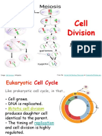 Mitosis and Meiosis Notes 2016