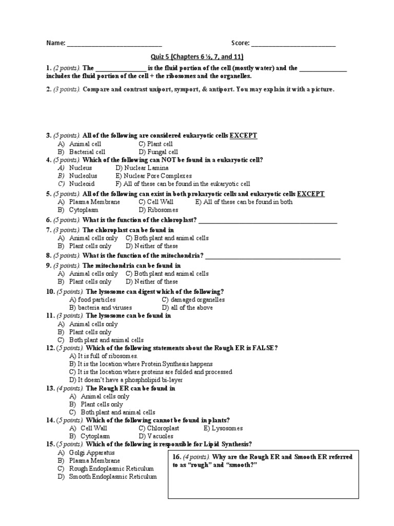 Quiz 5 (Ch. 6 pt2, 7 and 11) | PDF | Endoplasmic Reticulum | Cell (Biology)