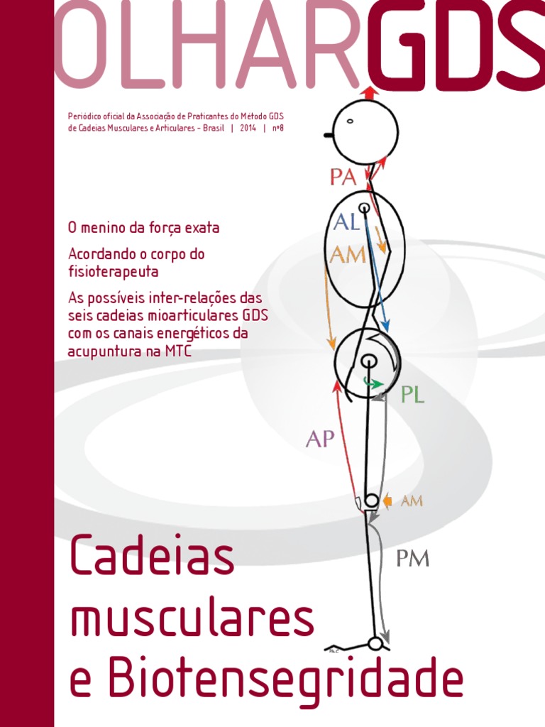 Classificação das Cadeias Musculares - Faça Fisioterapia