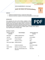 3 Protocolo Lab Célula Vegetal