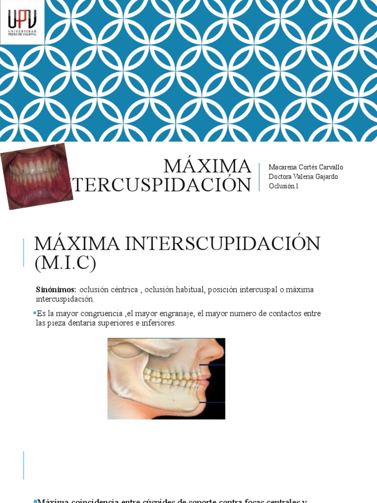 Máxima Intercuspidación: Definición y Función | PDF | Ciencia y matemáticas