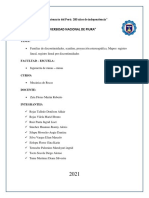 Trabajo N 1º - Mecanica de Rocas Grupo 7