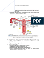 Anatomi Sistem Reproduksi Pada Wanita