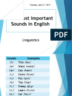 The Most Important Sounds in English: Linguistics