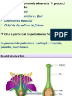 Polinizarea La Plantele Cu Flori