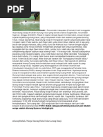 Download Kediri by juklivp SN50097799 doc pdf