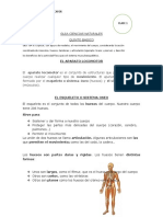 Guia Ciencias Naturales Semana 15 Al 19 de Marzo Quinto Basico