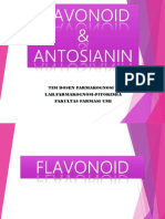 Flavonoid Dan Antosianin New