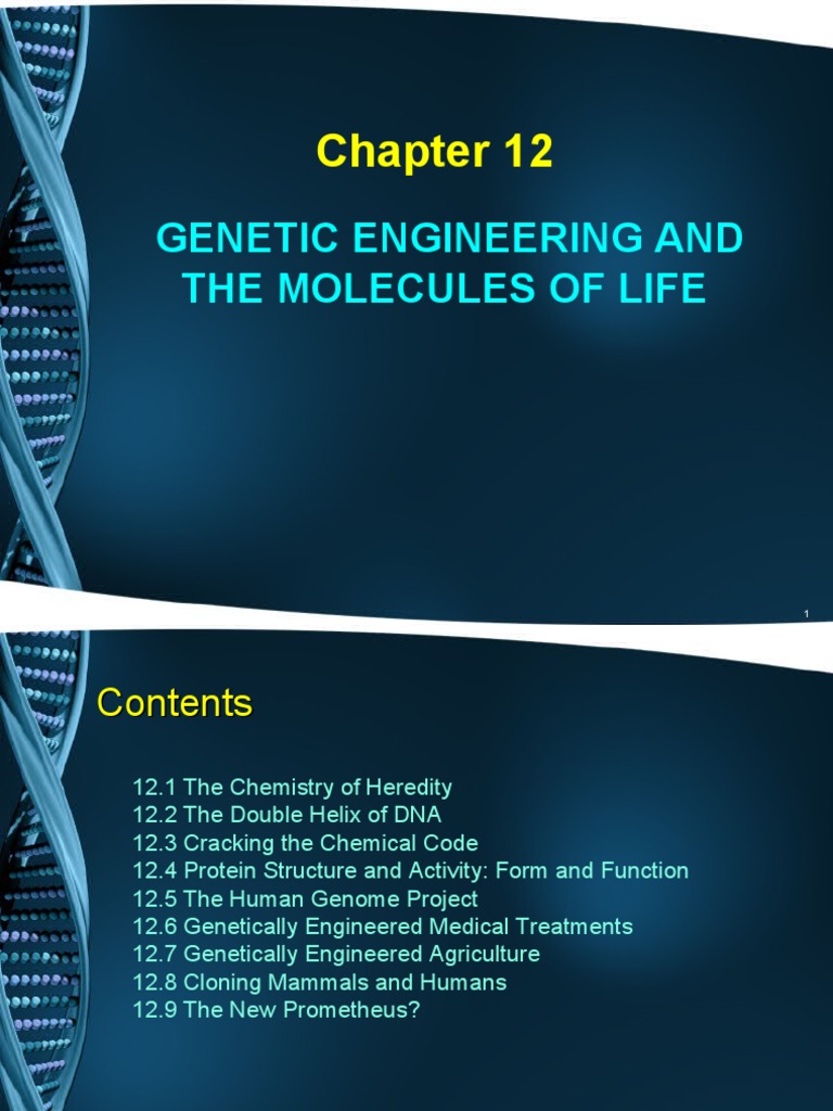 Genetic Engineering: DNA and Applications | PDF | Nucleic Acid Sequence ...