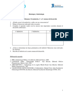 Actividad #2. Fecundación. 1° A 4° Semana de Desarrollo