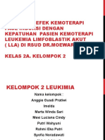 KLP 2 Leukimia Anggie