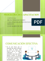 Ppt Silvia Venegas s7