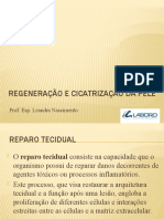 Regeneração e Cicatrização Da Pele