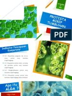 PowerPoint Protista Mirip Tumbuhan