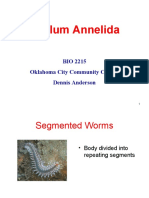 Phylum Annelida: BIO 2215 Oklahoma City Community College Dennis Anderson