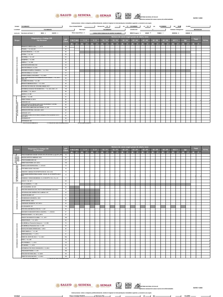 Formato NUEVO SUIVE 2020 TAC 13122020 PDF Infección transmitida