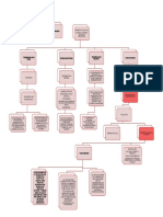 Doc1 TRAZABILIDAD POLLOS