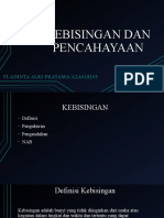 A2a018105 - Fladinta Alri - Kebisingan Dan Pencahayaan