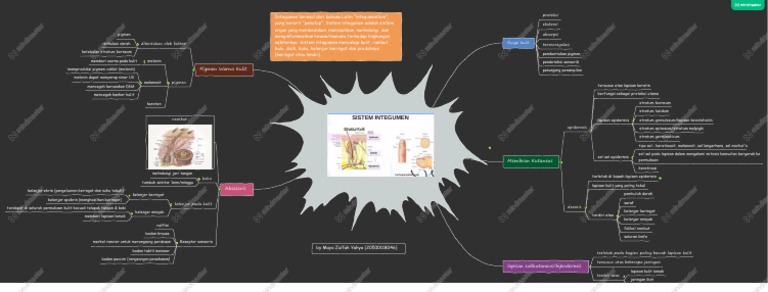 Sistem Integumen dan Fungsinya | PDF