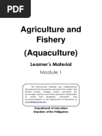 Traditional and Modern Fishing Bait Methods | PDF | Angling ...