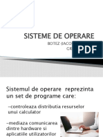 Sisteme de Operare Botez Mariana Amg1b