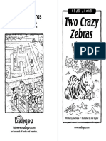 Two Crazy Zebras