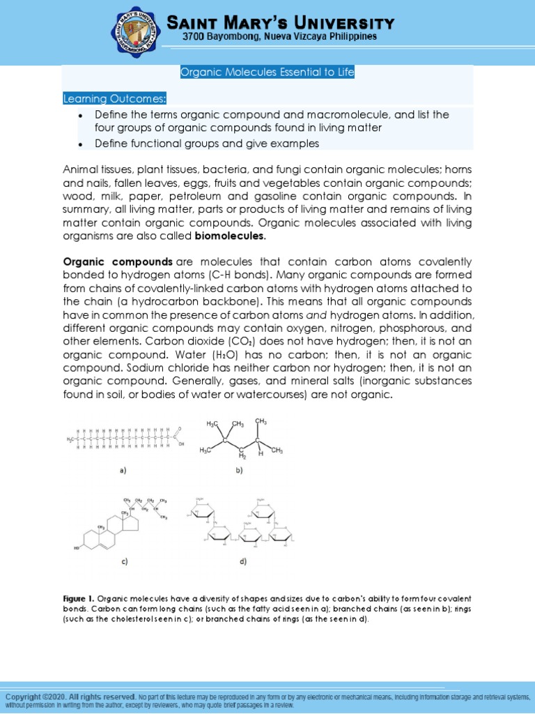 Organic Molecules Essential To Life | PDF | Organic Compounds | Molecules