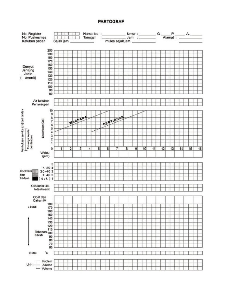 Contoh Form Patograf Lengkap | PDF