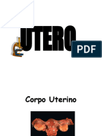250221429 Patologias Del Utero