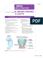 Development of Spinal Cord