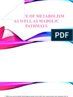 The Fate of Metabolism Andmabolic Pathways