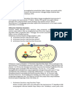 Materi Quinolones