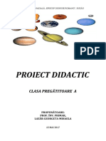 6 Proiect Didactic Mem