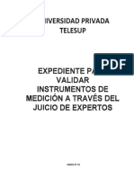 validacion de instrumentos RUD Y AMANDA carta