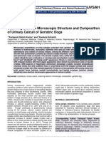 Scanning Electron Microscopic Structure and Composition of Urinary Calculi of Geriatric Dogs