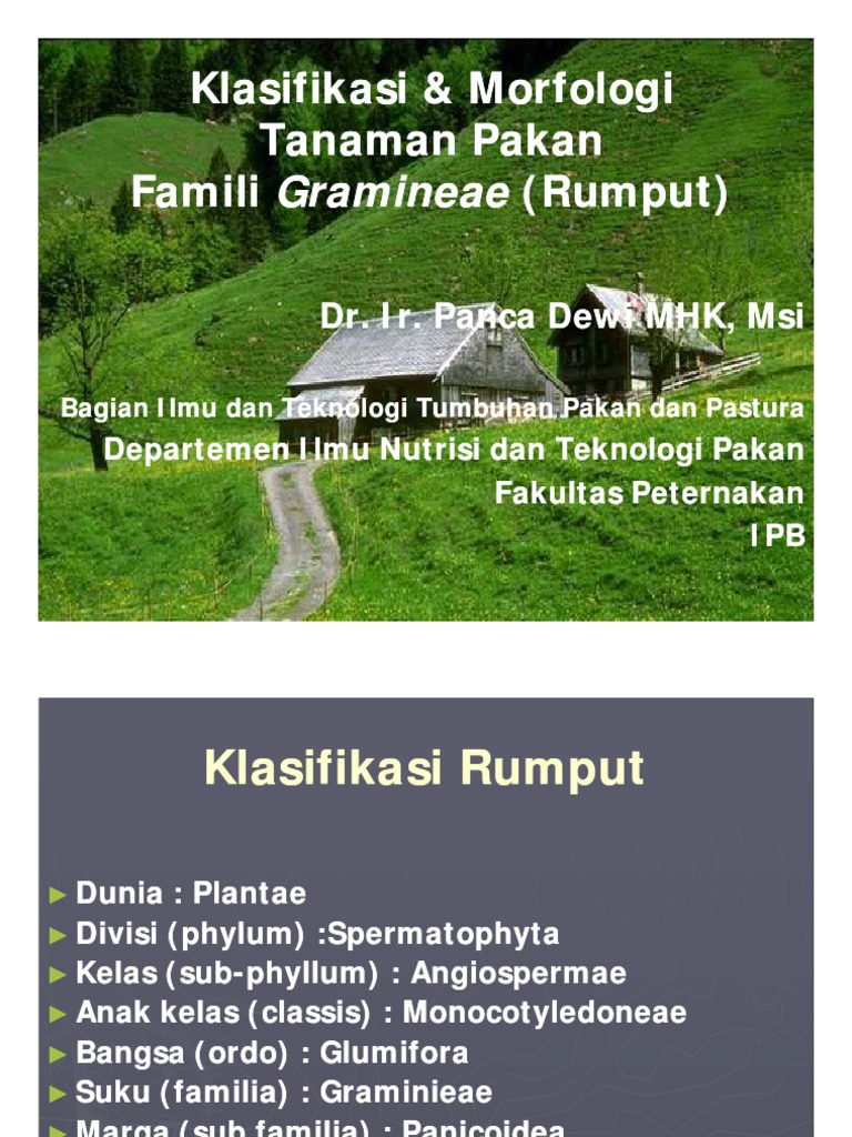 Klasifikasi dan Morfologi Rumput | PDF