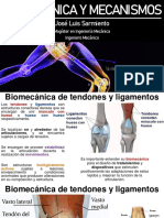 9 Biomecánica de tendones y ligamentos-1