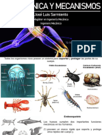 6 Biomecánica Del Hueso