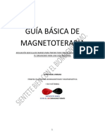 GUÍA DE MAGNETOTERAPIA. Juan Vidal Vargas