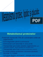 11 Metabolismul Proteic Lipidic Glucidic