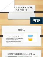 Examen General de Orina