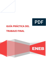 Guía Práctica del Trabajo Final ENEB - Development and Entrepreneurship