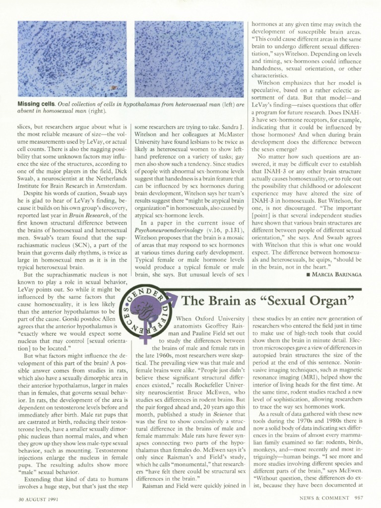 1991 Gibbons - The Brain As Sexual Organ. | PDF | Brain | Sexual Dimorphism