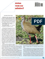 Avian Diversity in the Pantanal Wetland