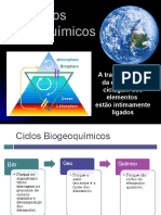 Ciclos Biogeoquímicos