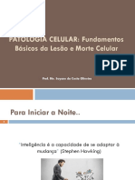 1. Patologia Celular_Fundamentos básicos da lesão e morte das celulas