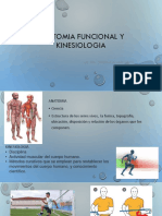 Introduccion A La Anatomia Funcional