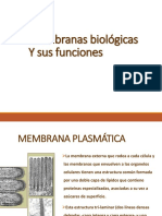 Membranas